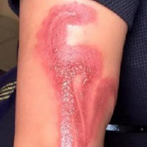 68ab4064-8f59-4823-bd25-dfe05ccbf4a5